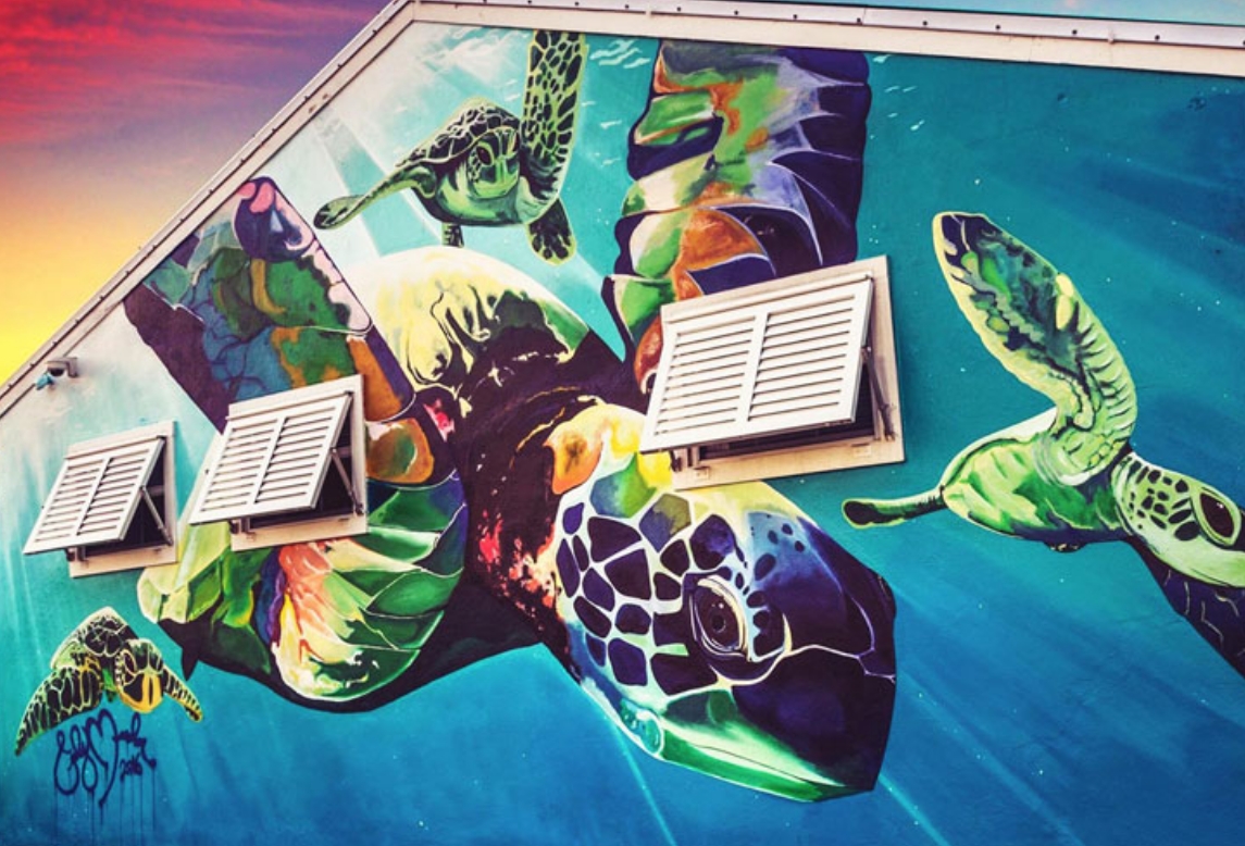 Mural_Cody-Monahan_sea-turtle.jpg