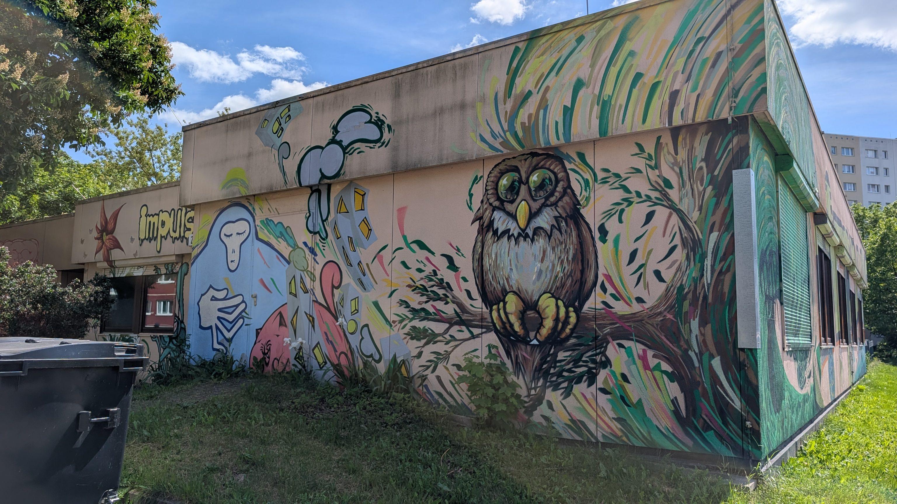 Owl and others
